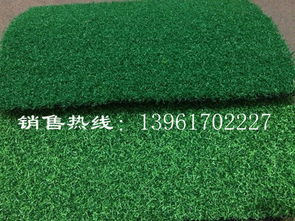 林杰厂家供应直销安徽运动场人造草坪